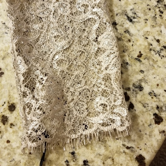 🍾 Calvin Klein Champagne Metallic Lace Dress - Picture 6 of 6